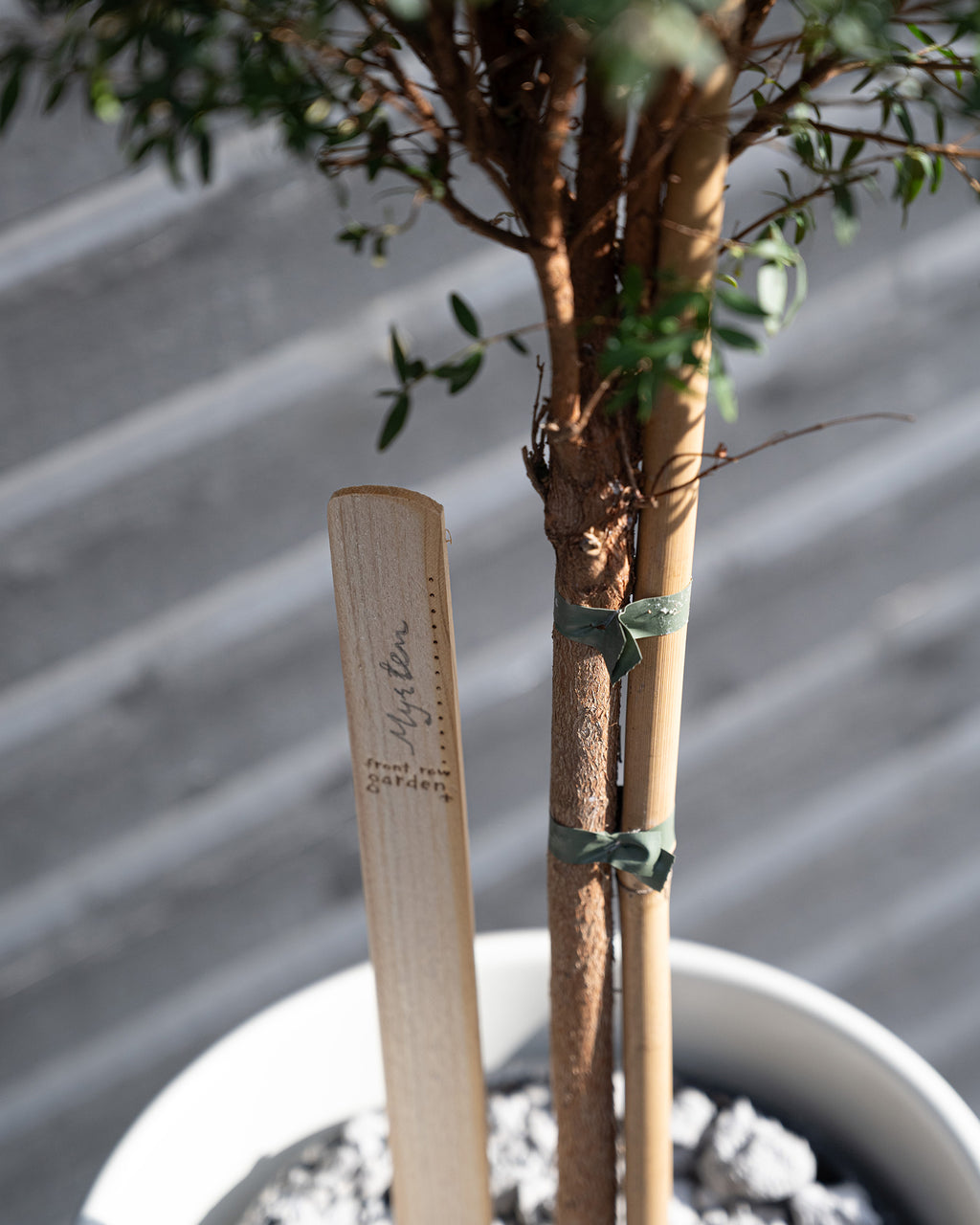 Växtskötseletikett I do