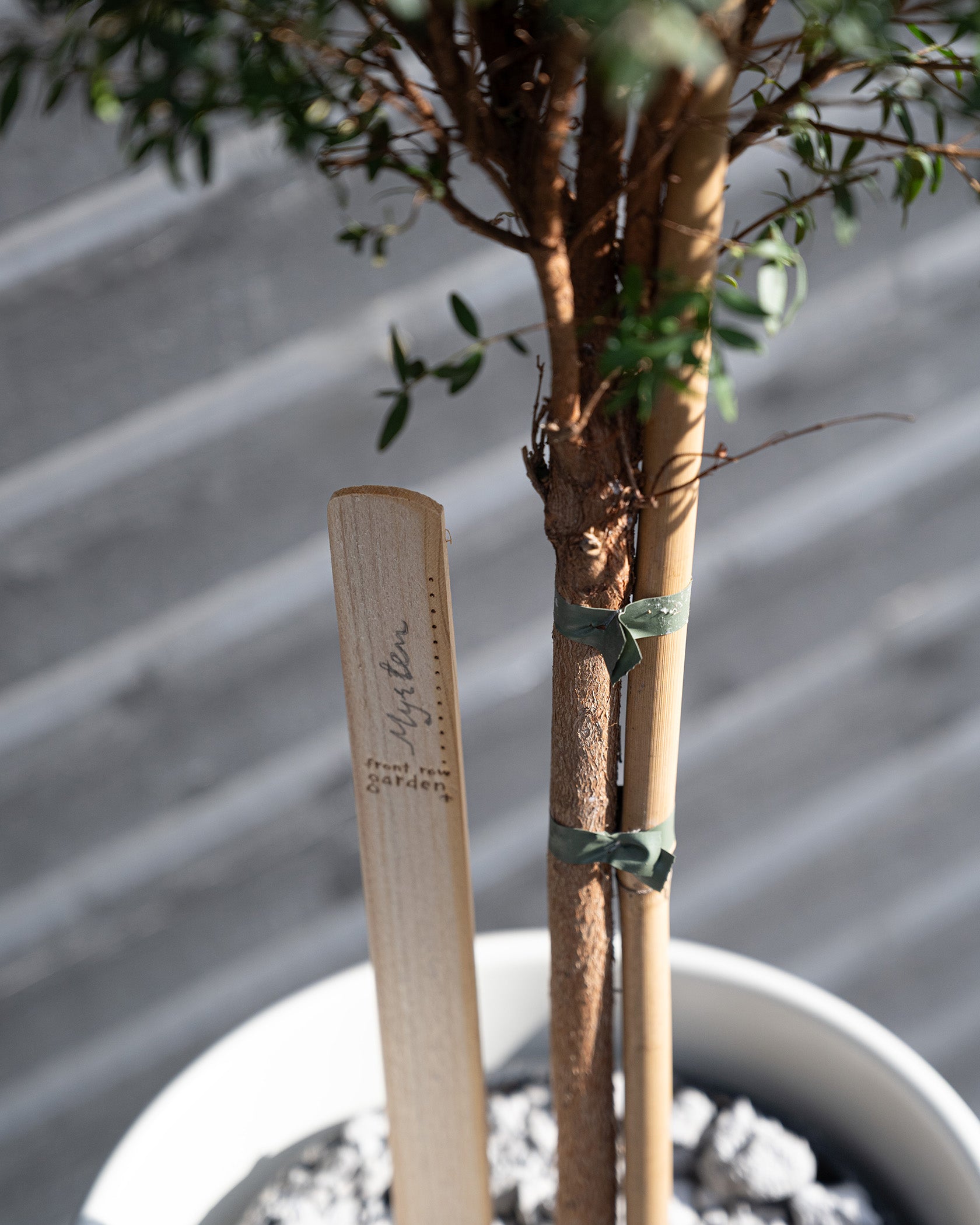 Växtskötseletikett I do